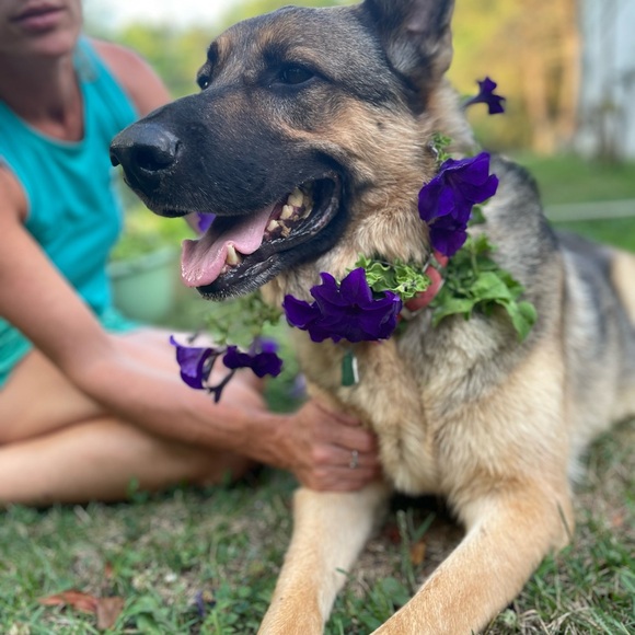 Meet your Posher, Anna - Picture 1 of 1